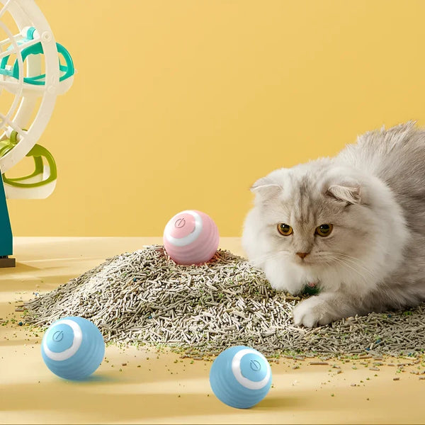 MagicBall Cat – Juguete Interactivo Inteligente